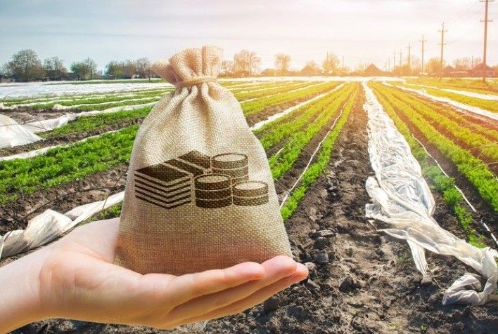 FINANCIAMENTO: Contratação do crédito rural tem alta de 36% e ultrapassa R$ 64 bilhões em dois meses do Plano Safra 2021/22