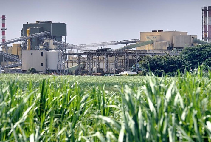 Safra canavieira 2021/22 tem ótimos preços, mas o custo de produção é muito alto