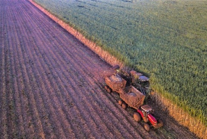 Parceria entre BP Bunge e Coopercitrus viabiliza primeira operação de barter com a fixação de ATR de cana no mundo