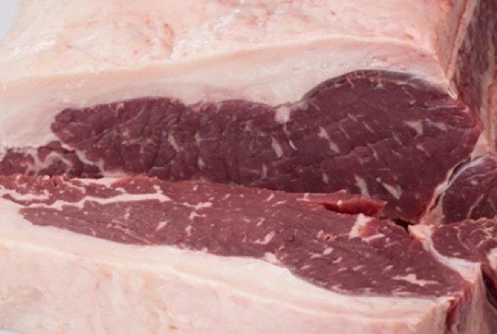 Exportações totais de carne bovina têm recorde mensal em agosto