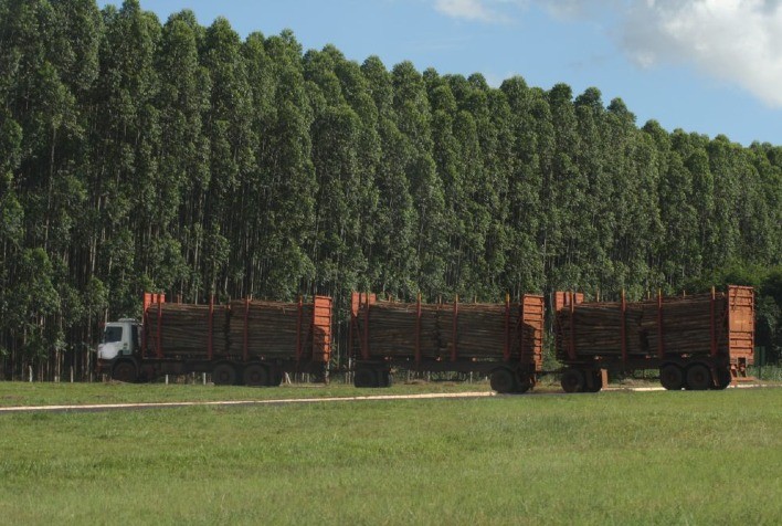 Suzano implanta sistema que detecta sinais de cansaço em motoristas do transporte florestal em MS