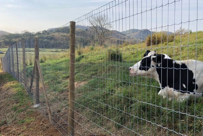 Belgo Bekaert é parceira da Embrapa Gado de Leite no Silo, hub de inovação aberta