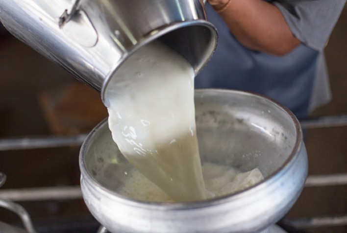 Sindilat pede restrição ao uso do termo leite por alimentos de origem vegetal