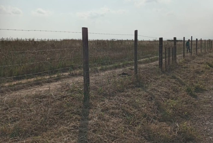 Belgo Bekaert apoia experimento para controle de febre maculosa por meio do NPC no campus Luiz de Queiroz da Esalq/USP, em Piracicaba (SP)