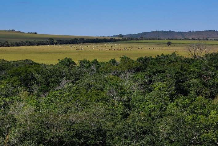 Brasil caminha na direção certa para se tornar uma potência agroambiental