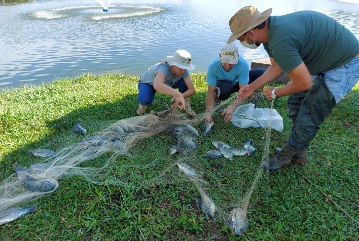 Com apoio do SENAR/SC, piscicultura cresce no sul de SC