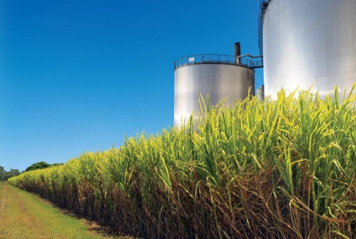Produção de anidro cresce 42% na segunda quinzena de agosto