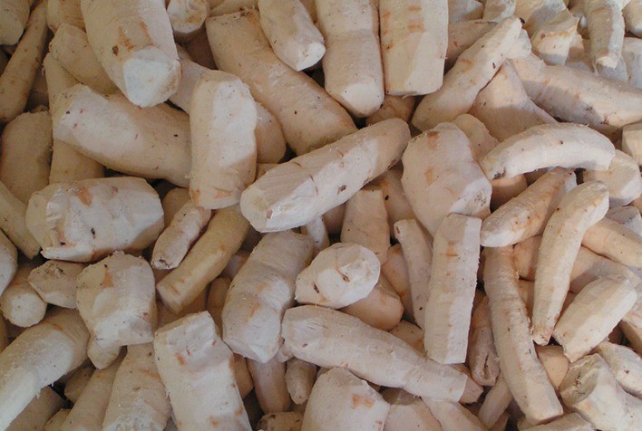 Mudanças no mercado mundial de mandioca e derivados e oportunidades para o Brasil