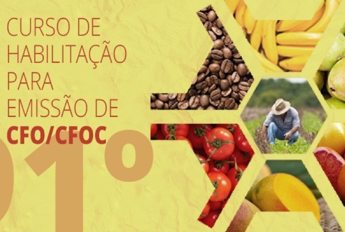 Exportação de produtos vegetais exige curso de Certificação Sanitária de Origem para engenheiros agrônomos e florestais