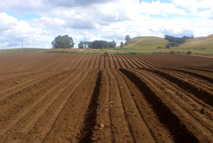 Vazio da Soja termina dia 15 de setembro em São Paulo