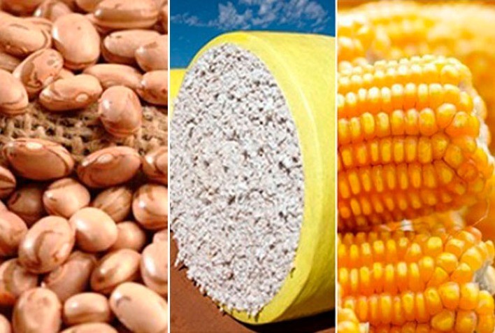 Produção estadual de grãos na BA fecha o ciclo com estimativa de 10,4 milhões de toneladas