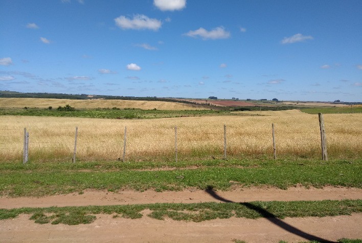 Secretaria da Agricultura publica novas instruções normativas relacionadas a agrotóxicos