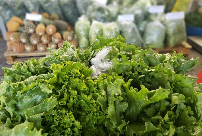 Por meio do Programa de Aquisição de Alimentos Estadual (PAA), Governo de Goiás investe R$ 2,2 milhões na agricultura familiar