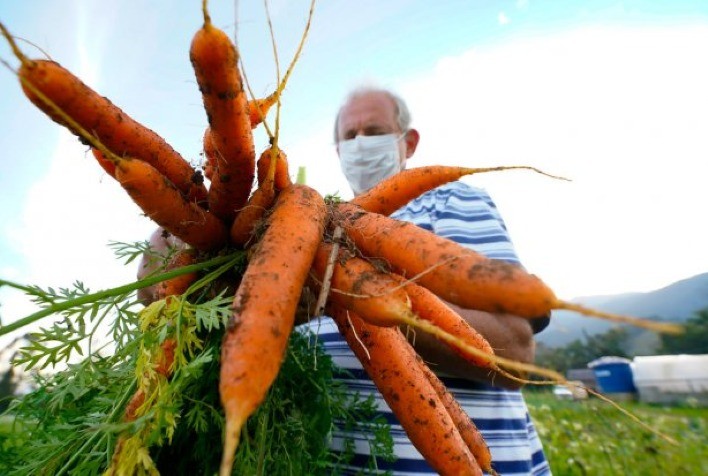 Santa Catarina terá Política Estadual de Agroecologia e Produção Orgânica