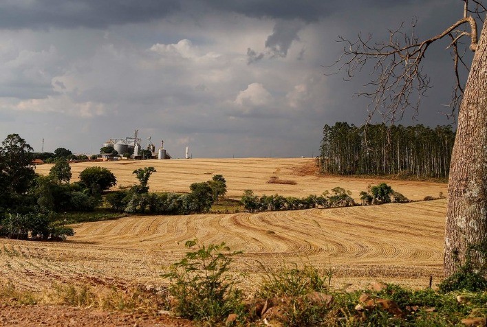 AGRO ainda patina em Políticas ‘Verdes’