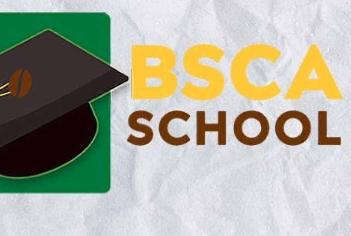 Setor de cafés especiais ganha plataforma com cursos de capacitação