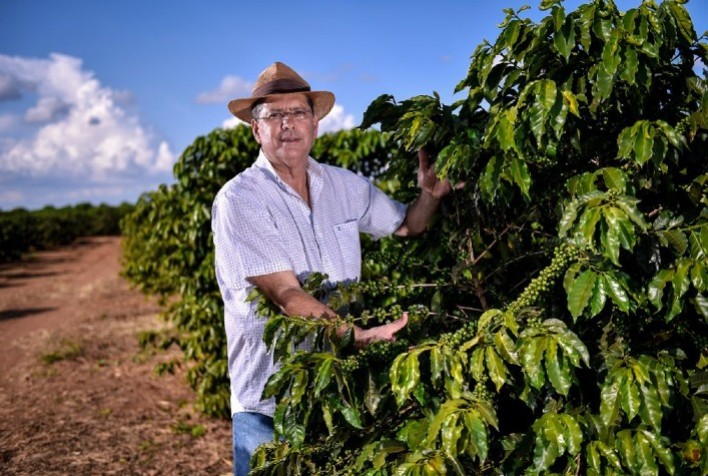 Produtor mineiro supera prejuízos com geadas e ganha concurso de café