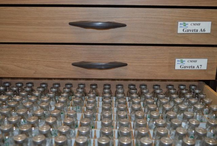 Banco de genomas de microrganismos é promessa de novas tecnologias de controle