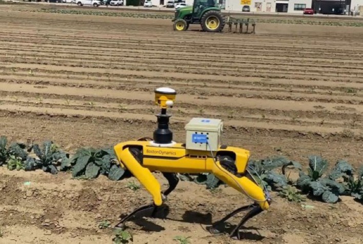 Corteva Agriscience é uma das primeiras empresas a utilizar robôs portáteis para caminhar pelas lavouras