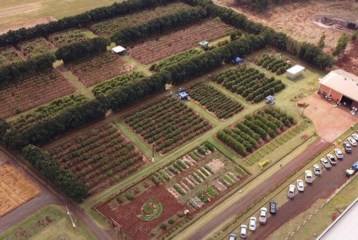 Cocari realiza Dia de Campo sobre pós geada do café no Centro Tecnológico, em Mandaguari
