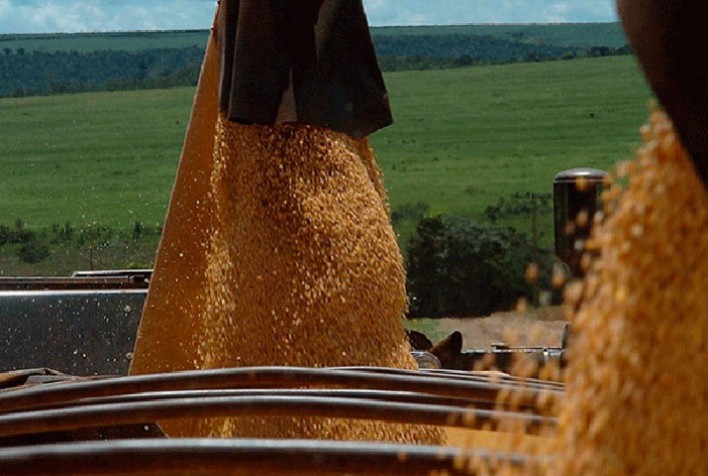 Soja inicia semana com forte queda em Chicago com 2ª feira de aversão ao risco nos mercados