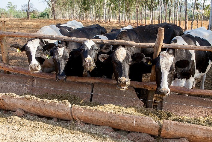 Conselho de Desenvolvimento do Estado destina R$ 35,5 milhões em empréstimos do FCO Rural para mini e pequenos e pequenos-médios produtores