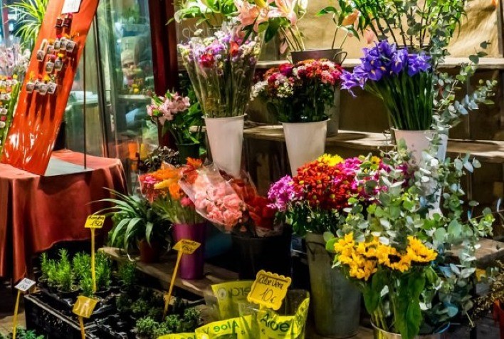 Pai e mãe de planta: Pesquisa mostra como novo hábito dos brasileiros tem aquecido o setor de floricultura em Minas Gerais