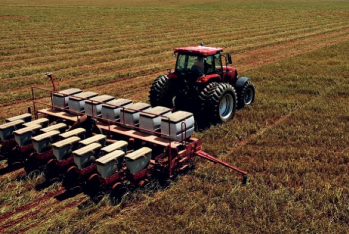 Área de cultivo da soja deve chegar a 5,62 milhões de ha