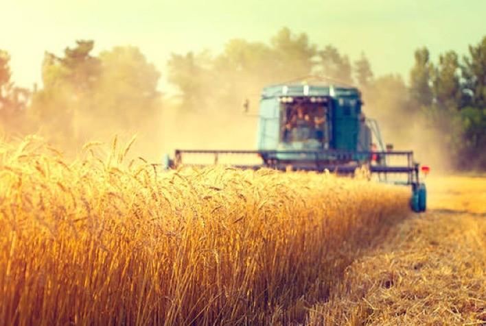 Estoques de grãos da Ucrânia somam 24,2 milhões toneladas até 1º de setembro