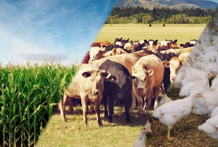 G20 deve liderar ações com gestão social e ambiental