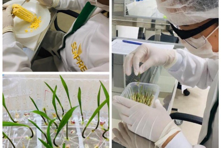 SEMPRE e Embrapa assinam acordo para desenvolverem tecnologias para agricultura tropical