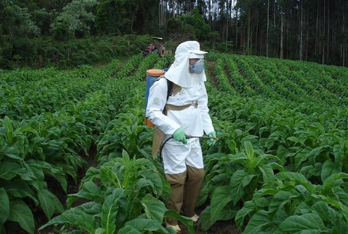 Quais as principais mudanças no agro com a NR 31?