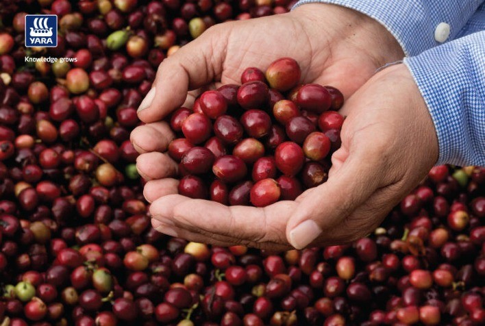 Concurso NossoCafé, da Yara, está com inscrições abertas