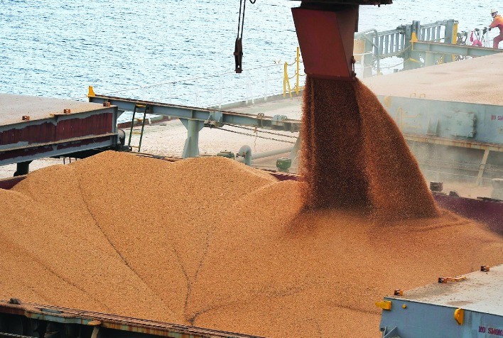 Brasil deve embarcar 5,04 milhões de t de soja em setembro, aponta ANEC