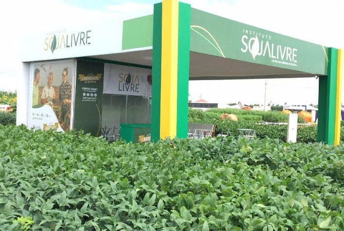 Soja convencional tem rentabilidade superior à soja transgênica em Mato Grosso