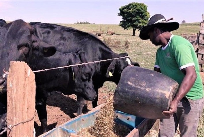 Alta de custos de produção preocupa produtores de leite de Minas Gerais