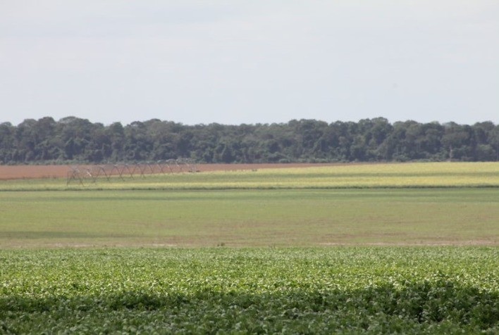 Mercado de gestão de créditos de carbono é a aposta da Ecofix Securities S.A.
