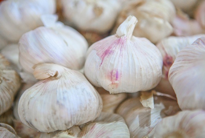 Cristalina e Rio Verde estão entre os dez municípios com maior valor de produção agrícola no Brasil