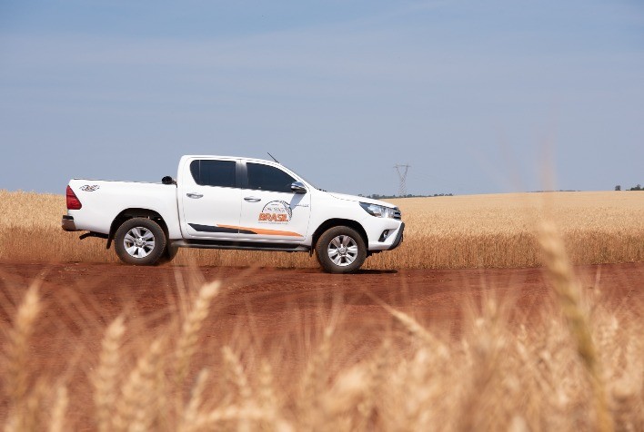Como a produtividade da soja aumenta com um inverno bem conduzido