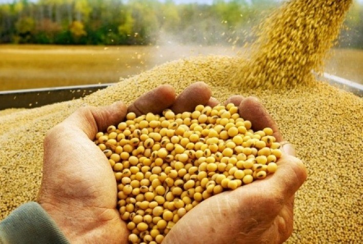 Mato Grosso é o estado com maior valor da produção agrícola