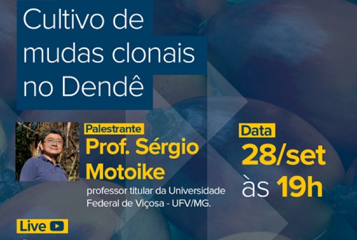 Live apresenta cultivo de mudas clonais na produção de dendê