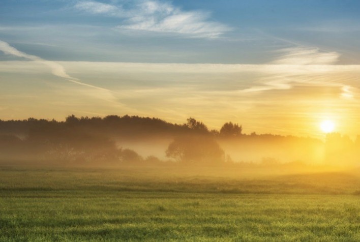 Pesquisas indicam impacto das mudanças climáticas a agricultura mundial