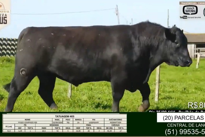 Reserva Angus faz média de R$ 16,5 mil em estreia em nova praça