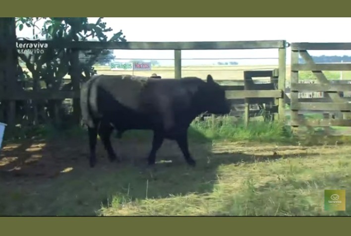 Cabanha Umbu fatura R$ 1,2 milhão