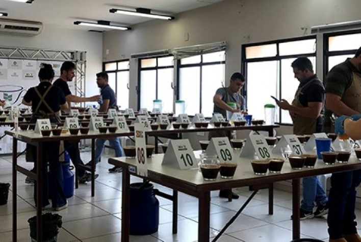 Café especial: 125 amostras se classificam para fase nacional do Cup of Excellence