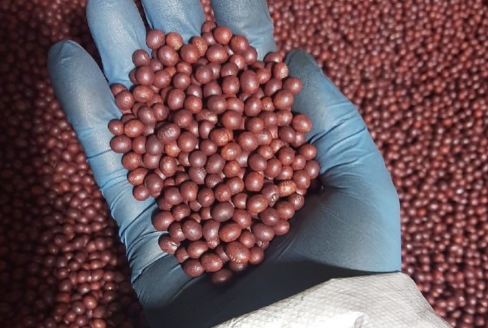 Os desafios do tratamento de sementes no Brasil