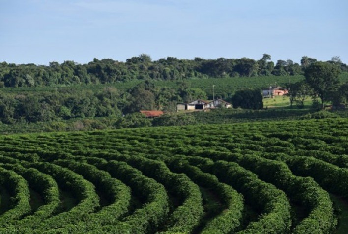 Unifran apresenta pesquisa que traz soluções no combate as pragas dos cafezais