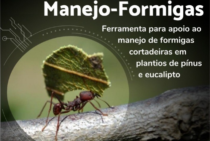 Controle de formigas cortadeiras ganha ferramenta para tomada de decisão