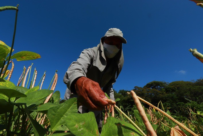 Agropecuária goiana registra criação de 9,1 mil postos formais de trabalho nos oito primeiros meses de 2021