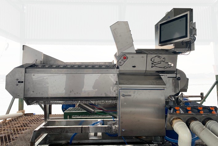 Zoetis lança vacinadora automatizada para tilápias